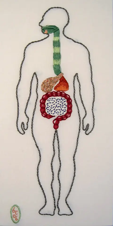 Ben Conrad Digestive Embroidery
