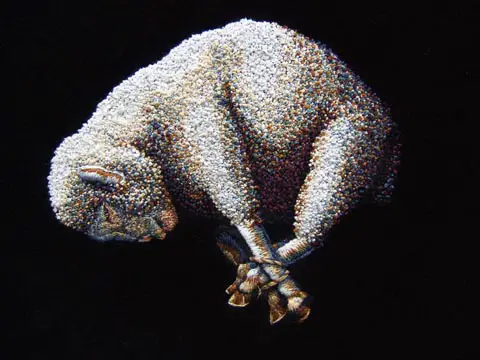 Kate Kretz - "The Final Word", 2012, embroidery on black velvet, 20 x 16"