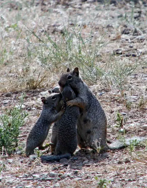 Group Hug via Daily Squee