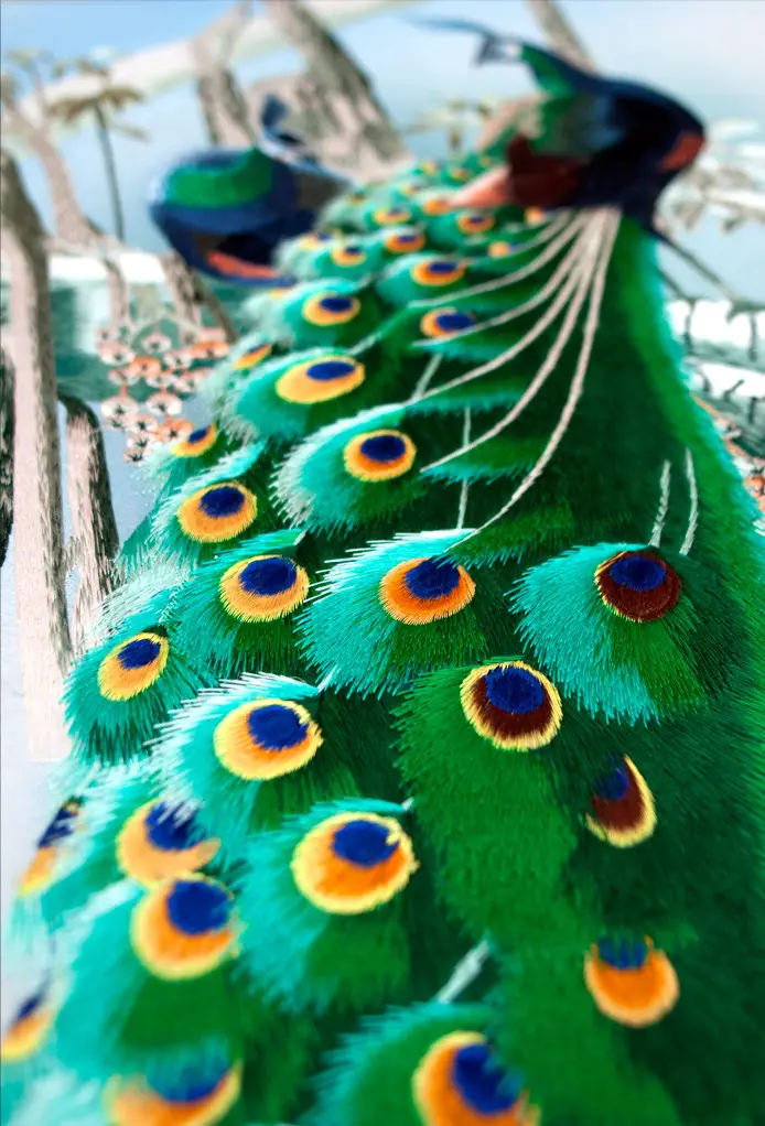 Close-Up+peacock