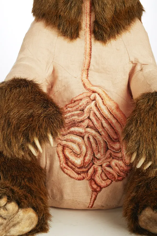 Deborah Simon - Ursus arctos horribilus - embroidery