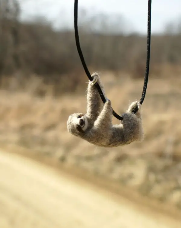 Motley Mutton, needle felted sloth