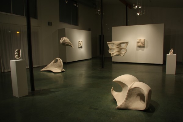 Stephanie Metz, Flesh and Bone Installation View
