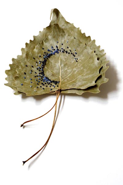 Embroidered Leaves, Hillary Waters Fayle