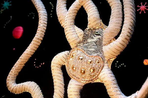 Embroidery detail: Space Octopus, by Annalisa Middleton