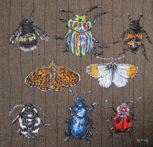 Emily Tull - Entomology - Hand Embroidery