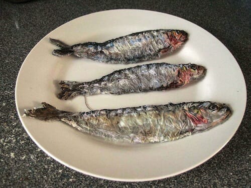 Emily Tull - Sardines - Hand Embroidery