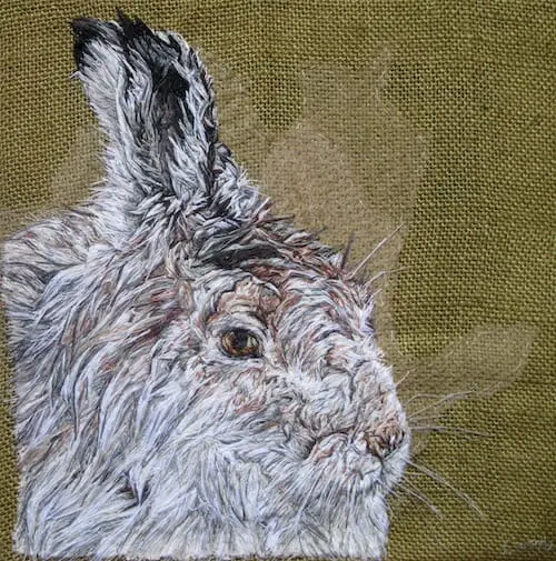 Emily Tull - Mountain Hare