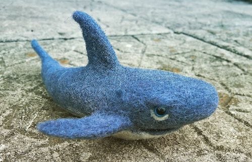 NoseyToes - Shark