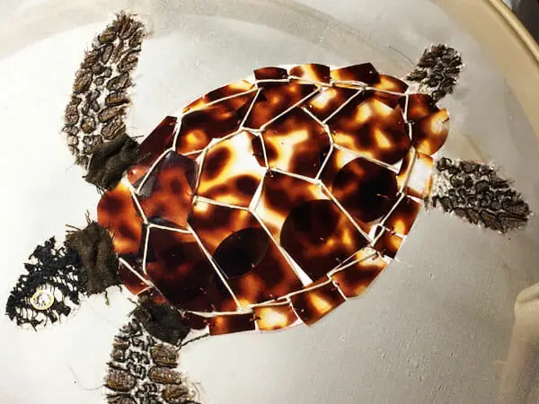 Sea turtle embroidery, by Silvia Perramon Rubio