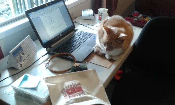 Cherry's bright work area and furry assistant, Zac.