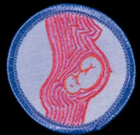 Mary Yaeger Merit Badge - Pregnancy