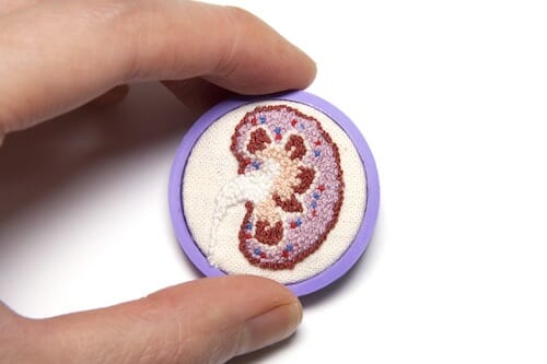 Plush Art Lab - Kidney Lapel Pin (Close up) 