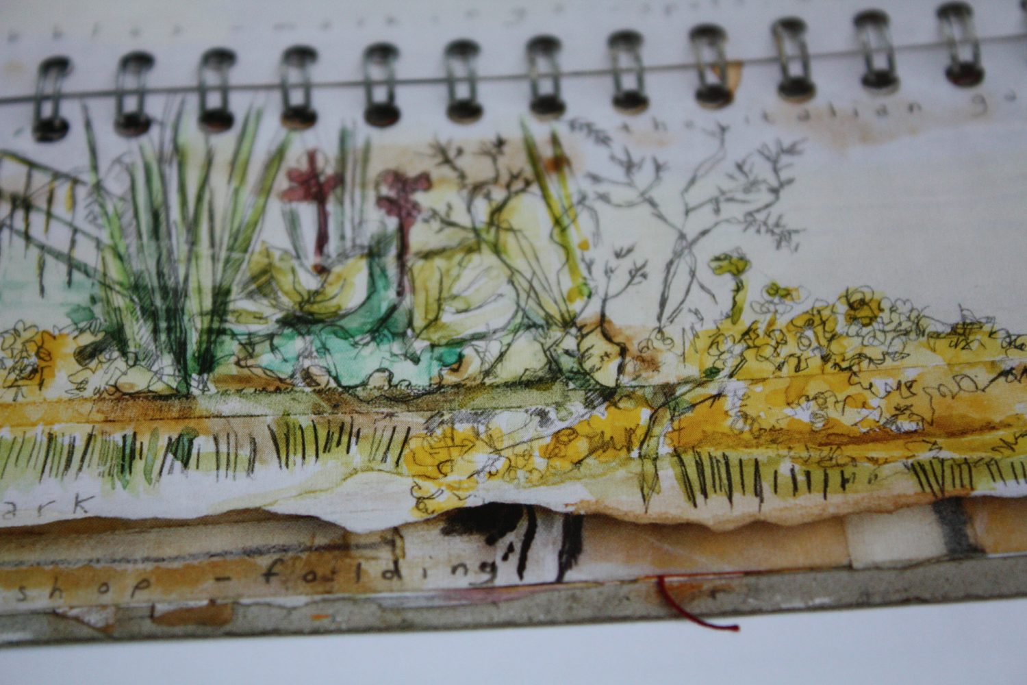Sketchbook Explorations by Shelley Rhodes