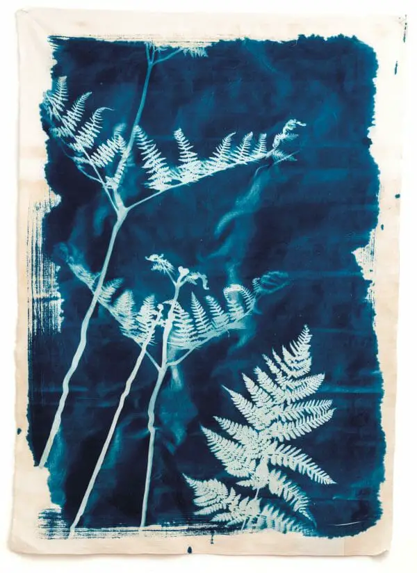 Large Cyanotype print on cotton, Hannah Lamb, Poetic Cloth