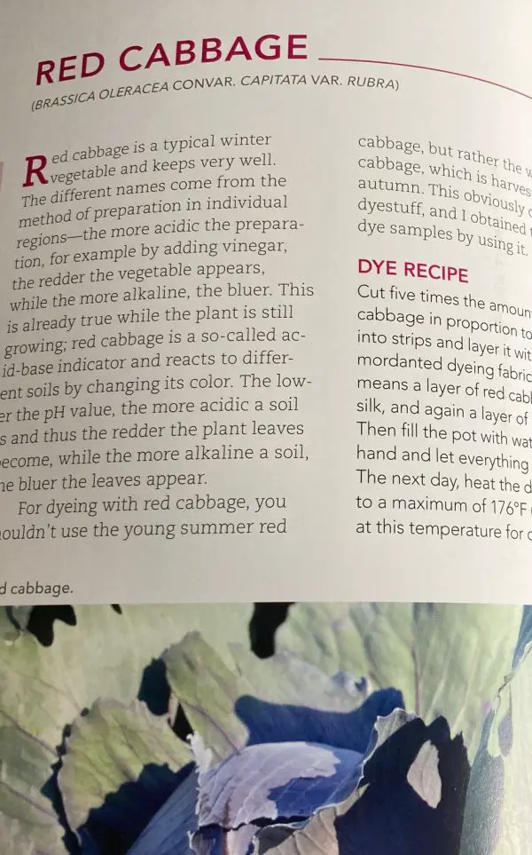 Natural Dyeing with Plants: Glorious Colors from Roots, Leaves & Flowers - dyeing with cabbage